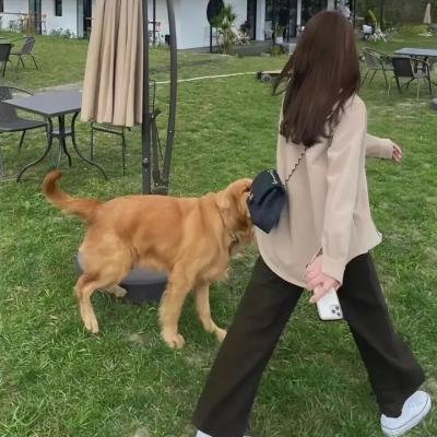 完美丈夫